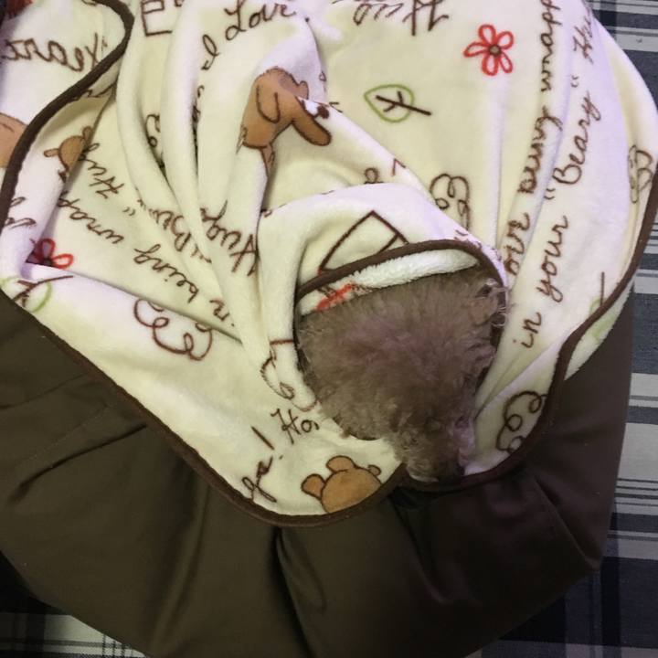 8fad52b1 fc40 4746 8377 2b58fdcbea61 1524408818573