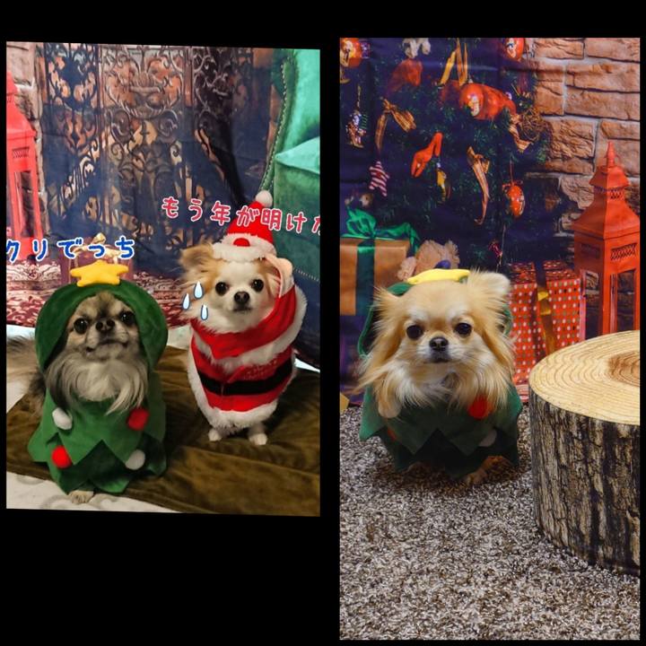 8fadc897 a008 4f73 9958 f9fdbc98b586 1766629564678