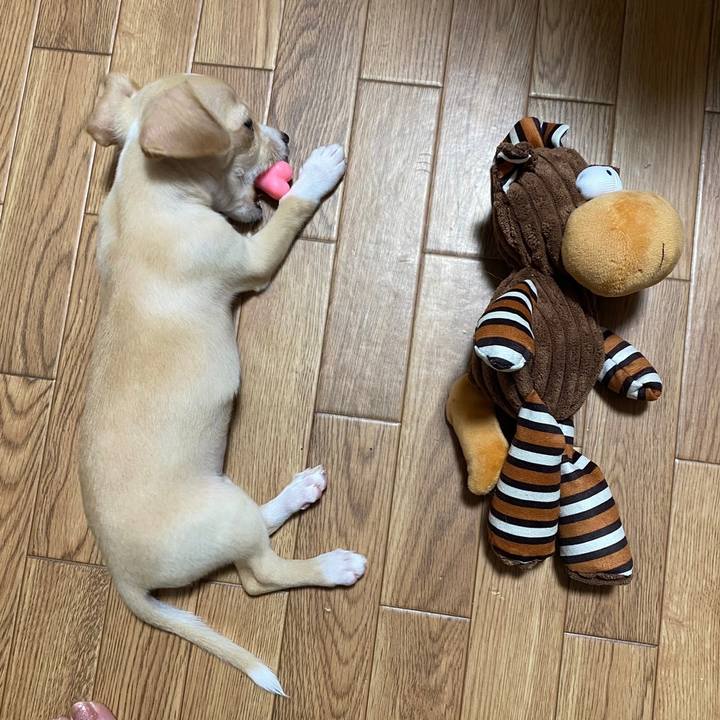 8fae0418 e0b2 42f5 a771 5bfff07c266b 1661583030123