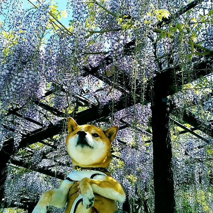 8fae2ce4 5657 44d8 b98a 8a852a07c234 1556960020682