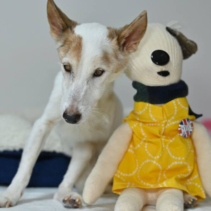 8fae84c2 aaf8 41ae 8f7e 1fa5ca9b69e3 1761562849209