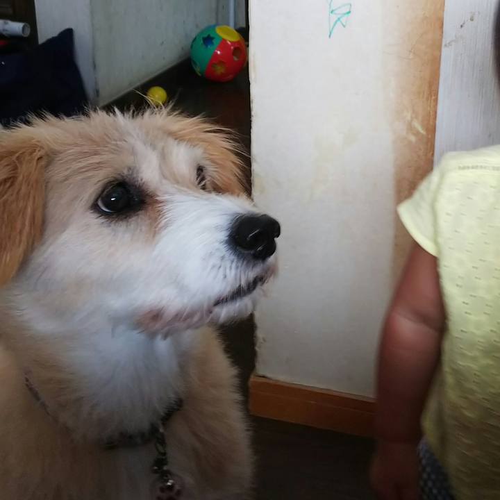 8fae9e6b 4208 4436 b280 4db5740a247b 1537824711050