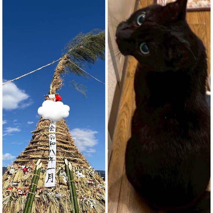 8faeb718 632f 4790 b142 e98cc4ddfb7c 1768209051080