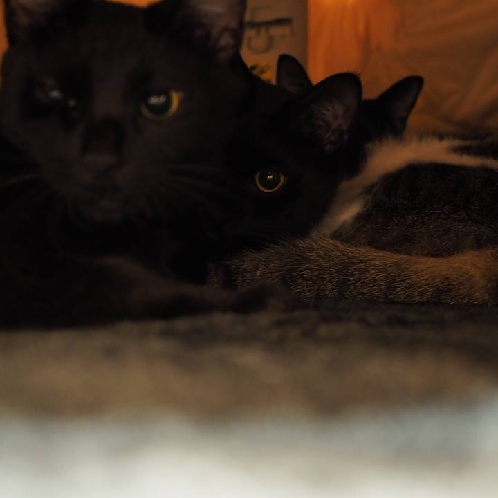 8faebd2e dc40 4271 9043 b96a686b1ce3 1541375710376