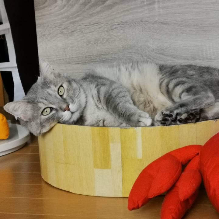 8faebf99 e4c4 4847 a728 fe84826bca0b 1658459828347