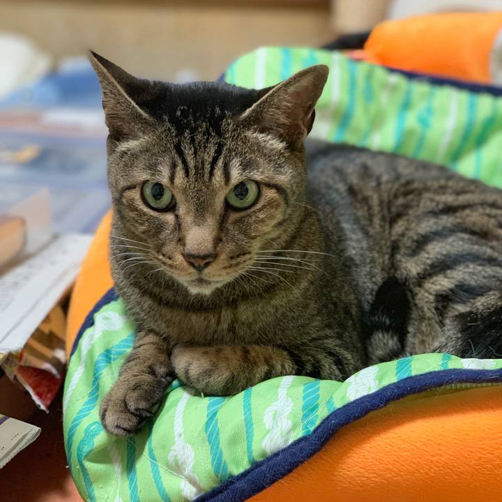 8faf3a1a ae51 422b 8a61 4e247bba9579 1561251666539