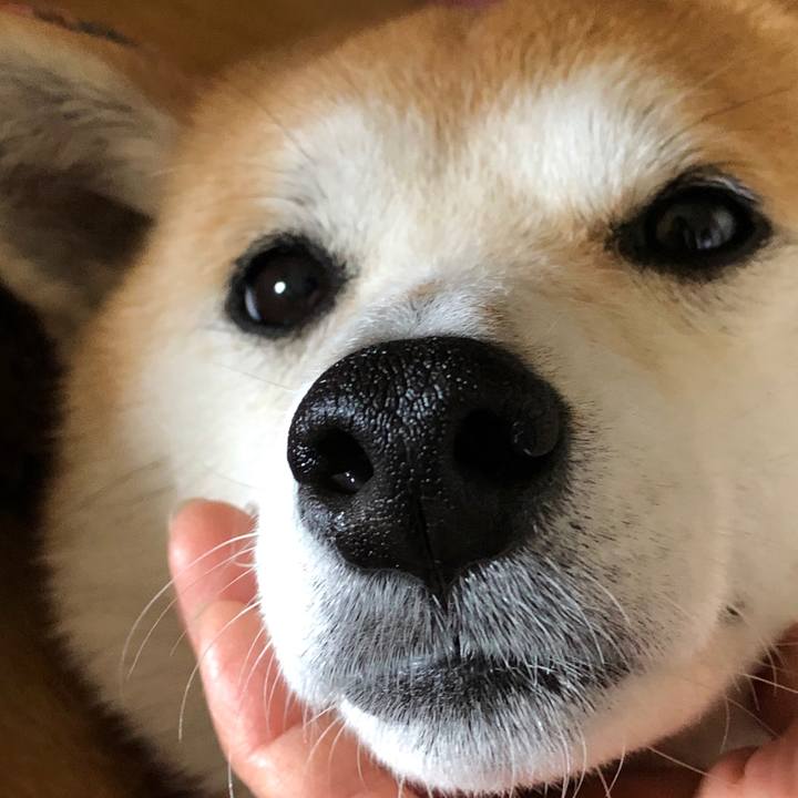 8faf5c0b 80ba 46e3 ba3c f517d98b6be3 1555303424636