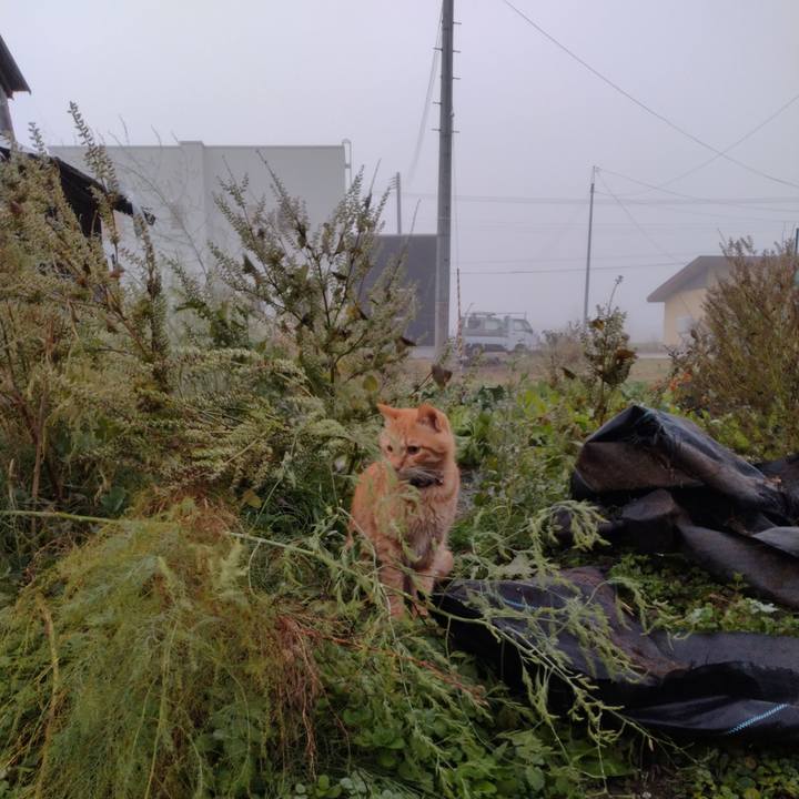 8fafa5c7 92a5 48e3 b79a 9dff2708b946 1667167588324