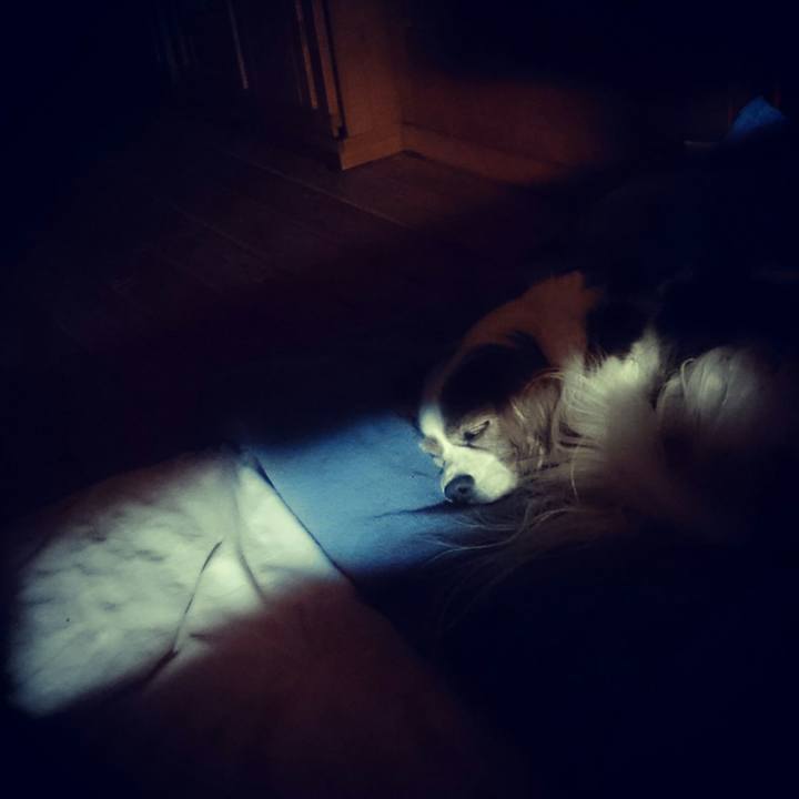 8fb01c5a 2df6 43bf 86f1 0d1bc7940d7e 1539785713932