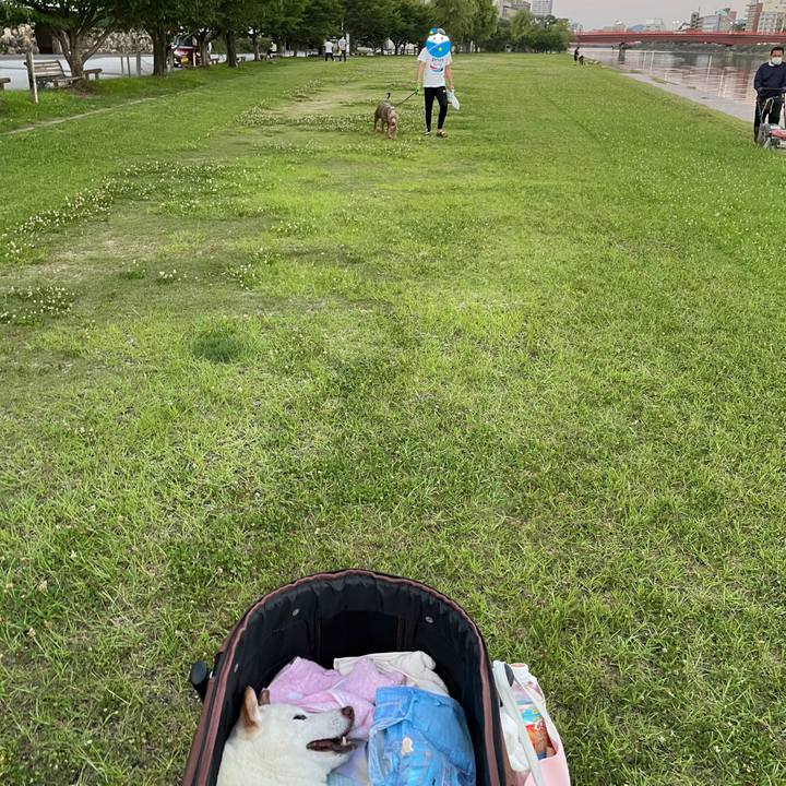 8fb024cc 0e2f 46ac 9c81 9b5539e72020 1656685363824