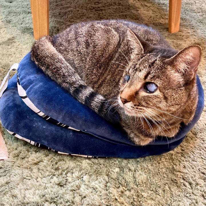 8fb04d08 02b1 48dc a086 2618d5d31b36 1635935379463