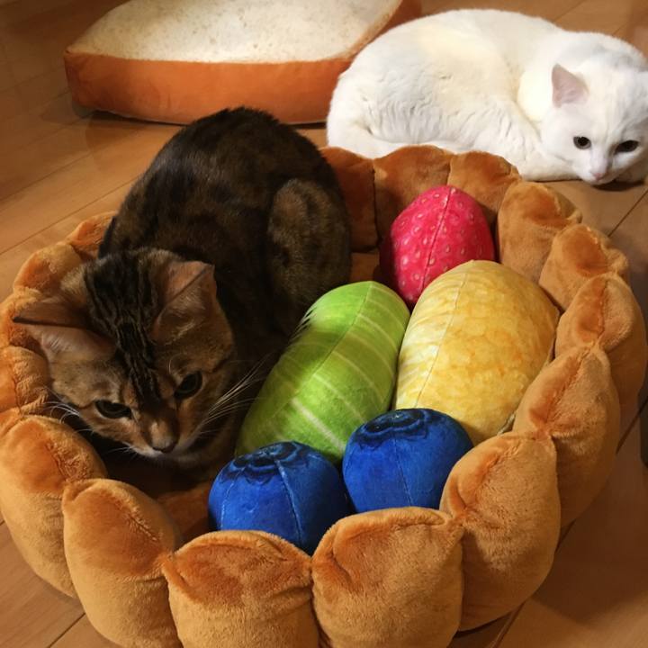 8fb05333 35b7 4204 ae9b b5bff602f141 1519650397579