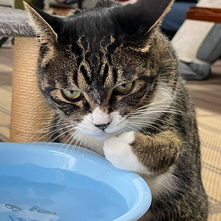 8fb056d0 9633 4706 b23f c41757930c38 1762211895867