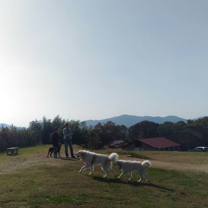 8fb07a0a f3c0 4087 b867 2ae211a372ea 1542079190536