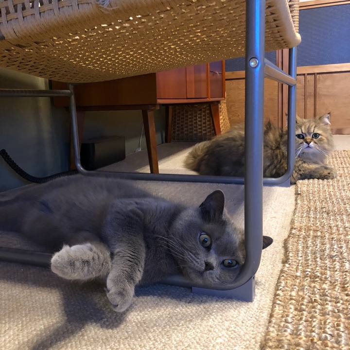 8fb11383 bac2 419b 806c aed5b5c89b79 1622720778652