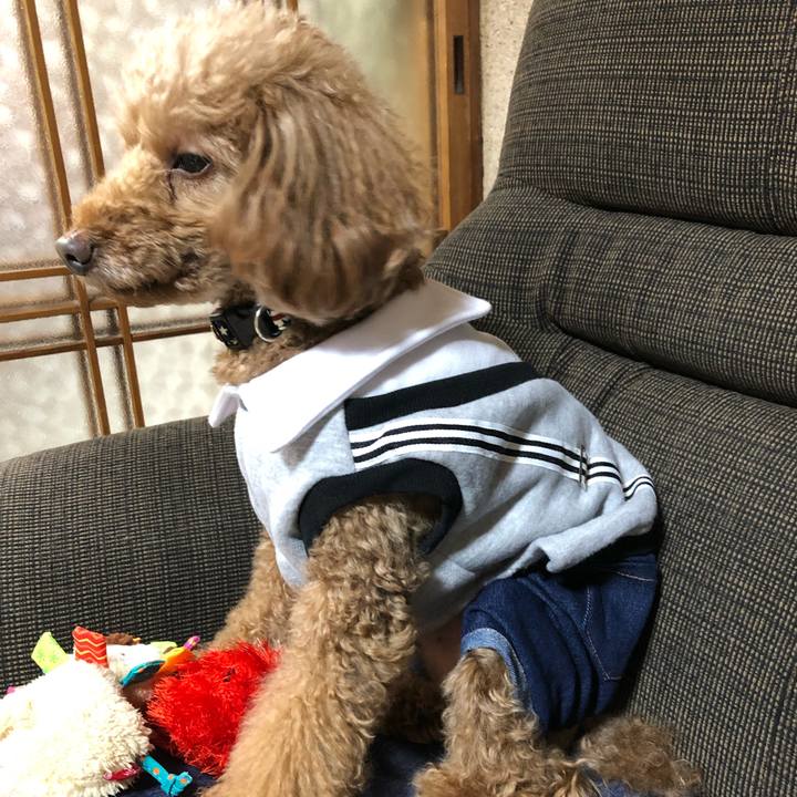 8fb11cca 374e 4985 99a3 f1193d5dbbd0 1618583113859