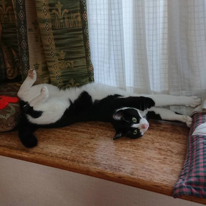 8fb12396 e2eb 4d46 8780 83c3d63eb41c 1656198449319