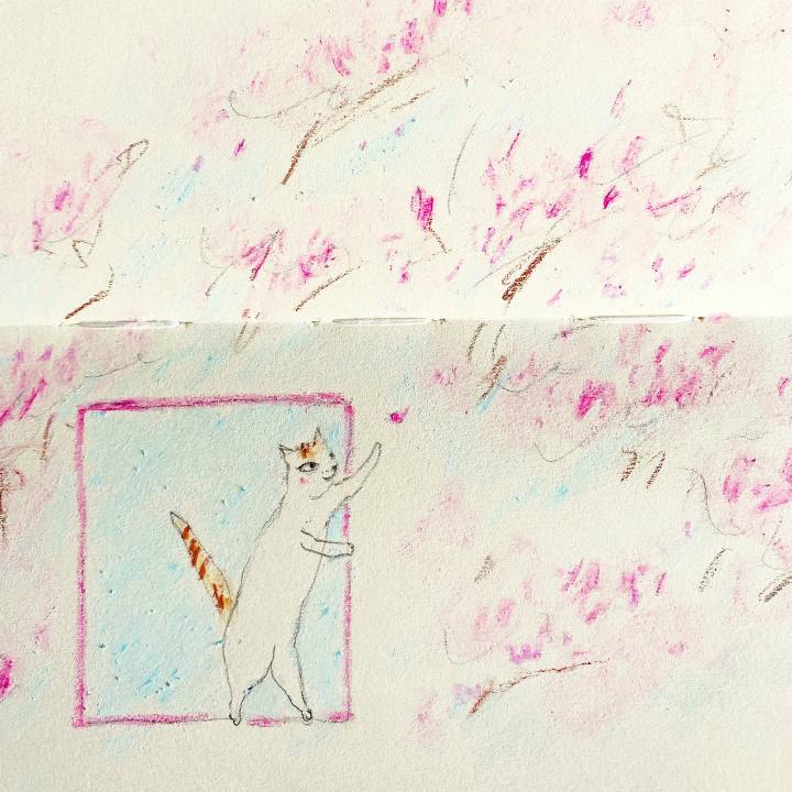 8fb12b8f f443 48d6 bde1 02fd2879691a 1646781663145