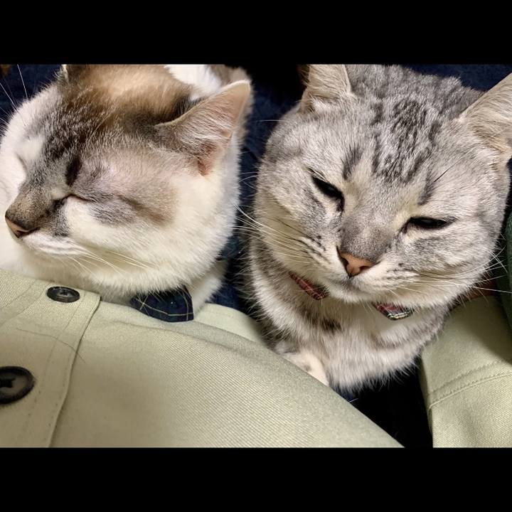 8fb12cf1 3a30 4a3a bf29 675cb622ebe4 1586335031338