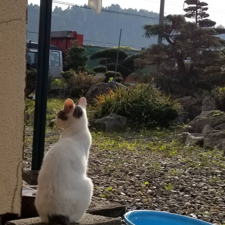 8fb14059 2fc4 4c35 94f1 1e8ec50f0062 1570095430703