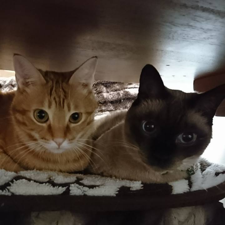 8fb141ff b3e6 47b0 868e 5b47a393cdc3 1510268795125