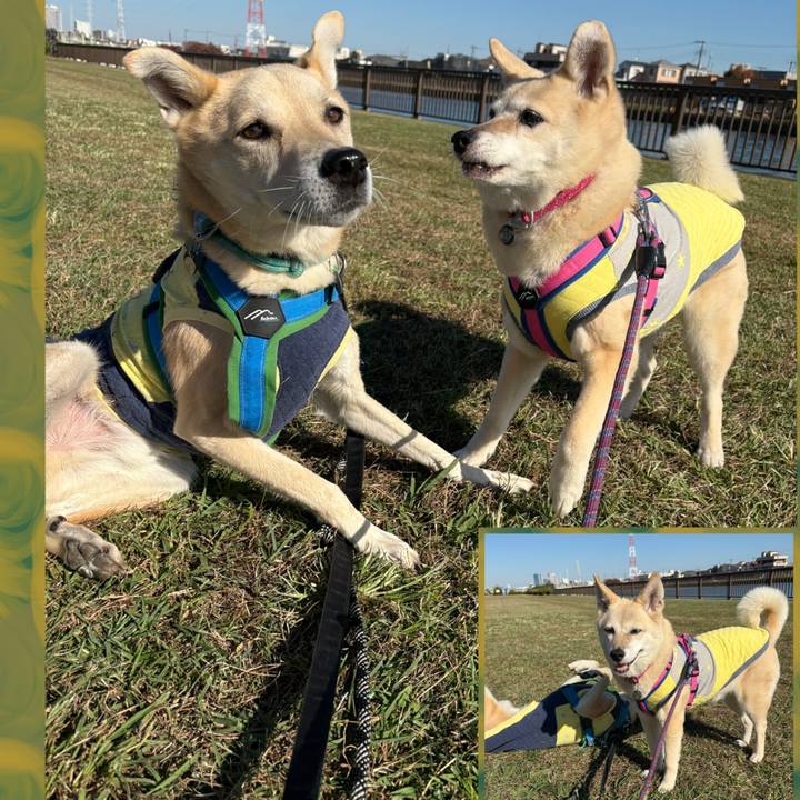 8fb14e61 4e3a 4630 bd5f b2a9cfb24d46 1762922057190