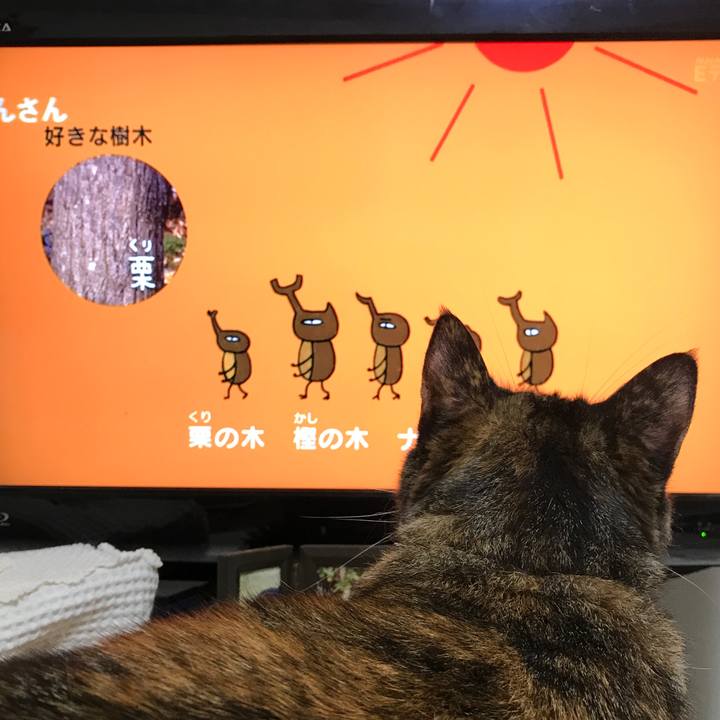 8fb153ff daff 46f9 873f 0b5d8ee4ed9f 1534802894414