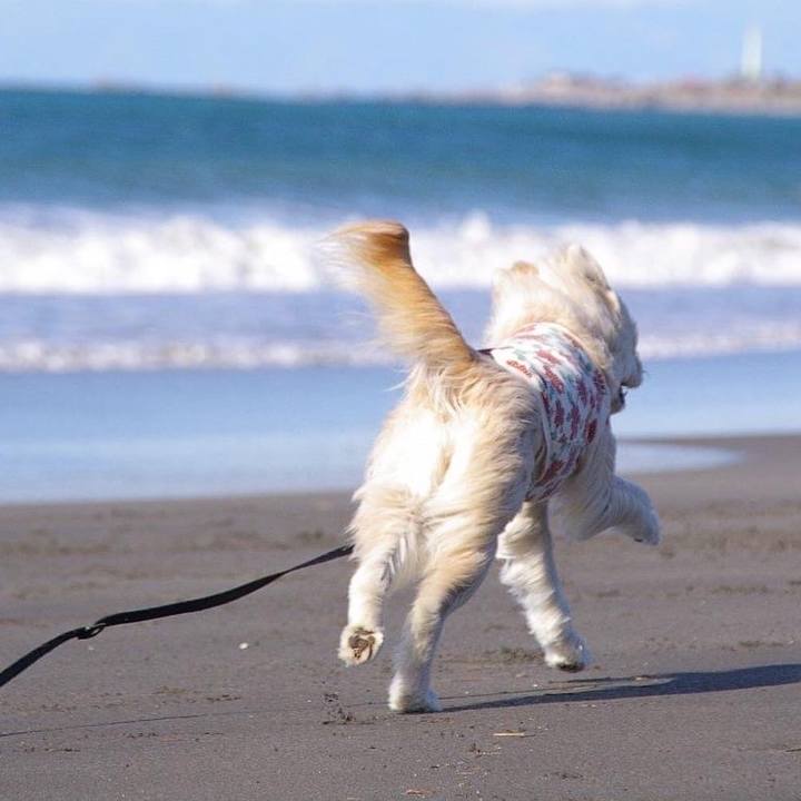 8fb17d6b 404b 4180 bfb5 1aa243300dc0 1650365444177