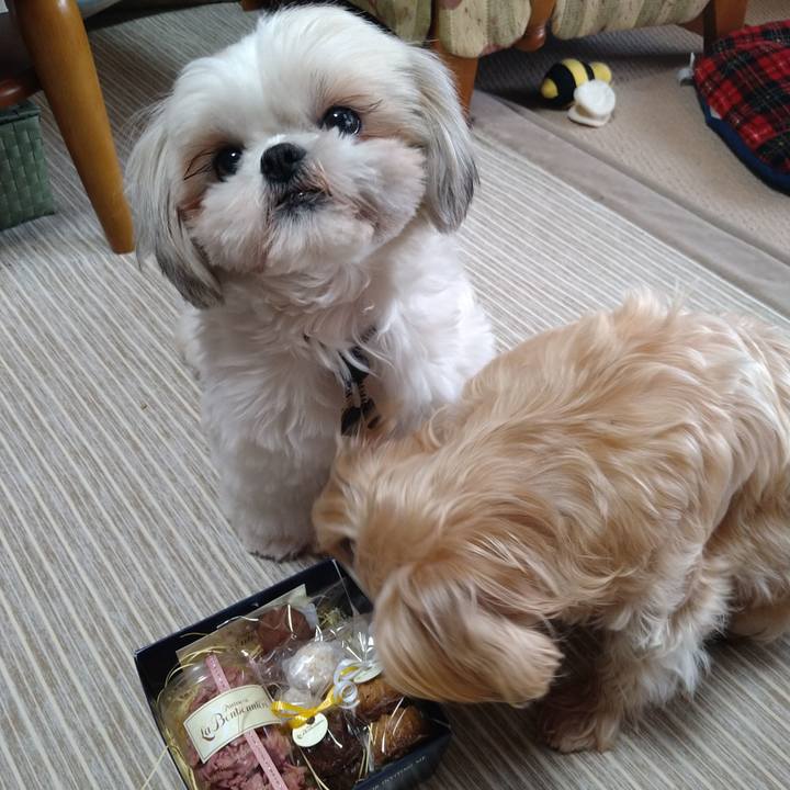 8fb18b80 e881 490d 903a 05557f86cd55 1613212312286