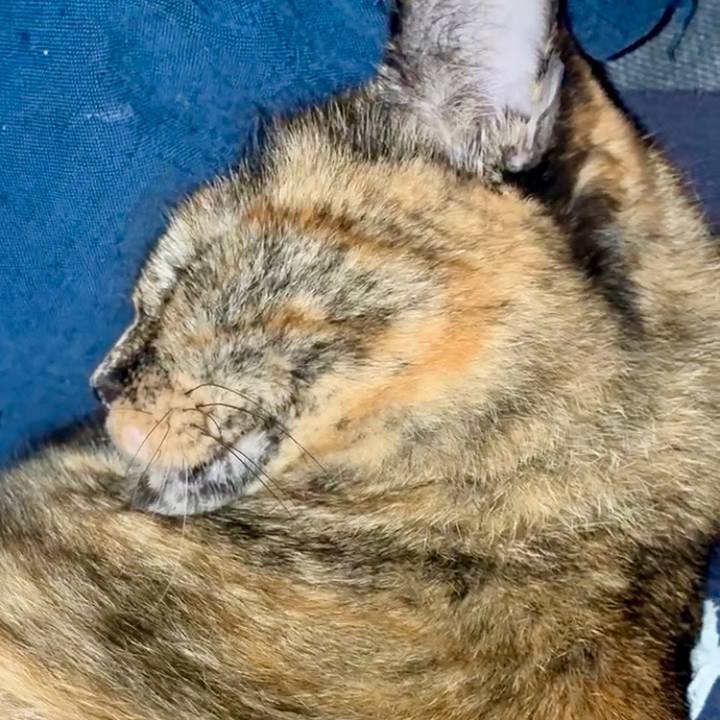 8fb195cf 7706 4ffe 9f44 6b75aa397b96 1762030899101