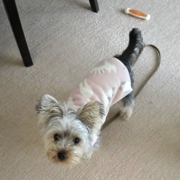 8fb1a65d 86fc 441f 96bd 12943e2520fb 1547433651170