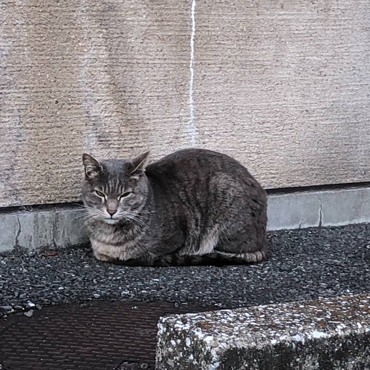 8fb1c22b 5c3e 4a26 820a 48ee2ed8062d 1644768022614