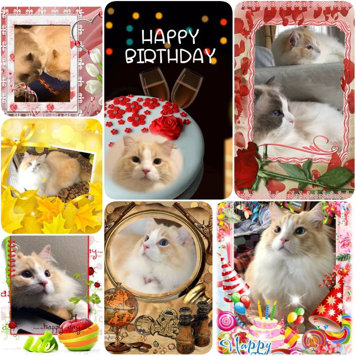 8fb1cbe2 f745 4618 b1e6 966f5db9cb43 1591542927764