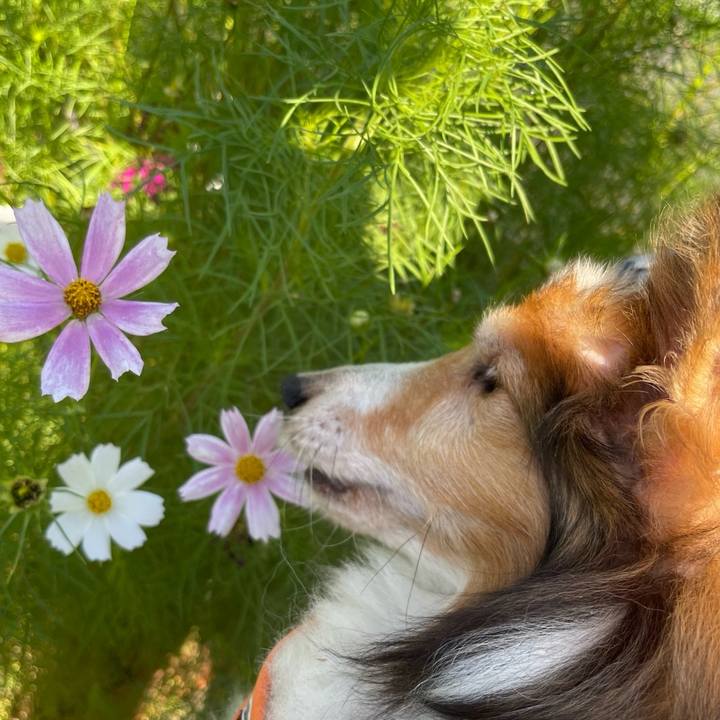 8fb1f25e 5d9c 4a9a bd3d 0aa31e41a44c 1756598861398