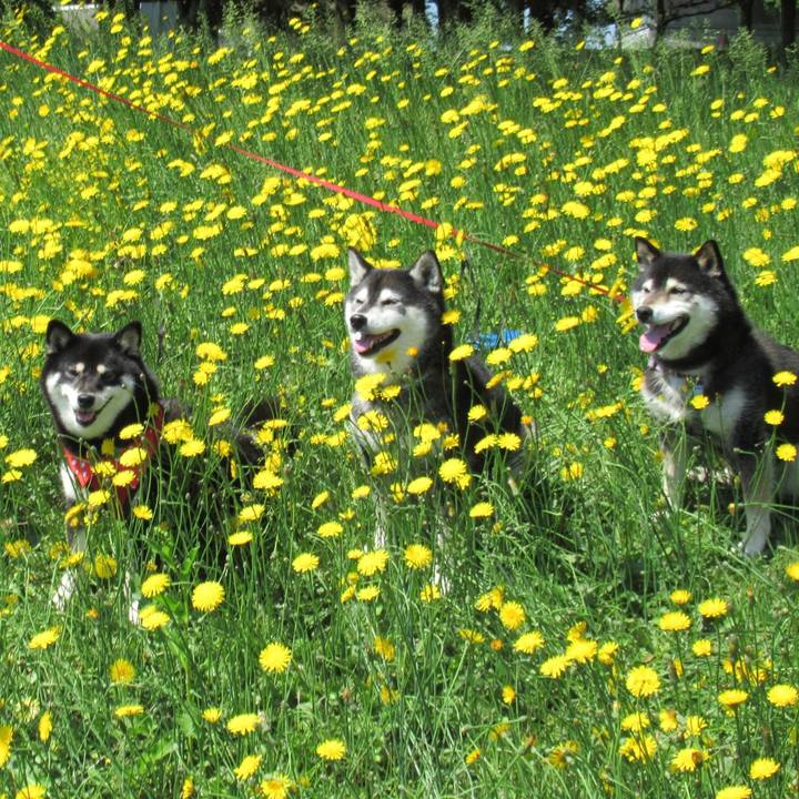 8fb22e7b 0b79 4661 bbef 88b1bf3d3020 1672537526428