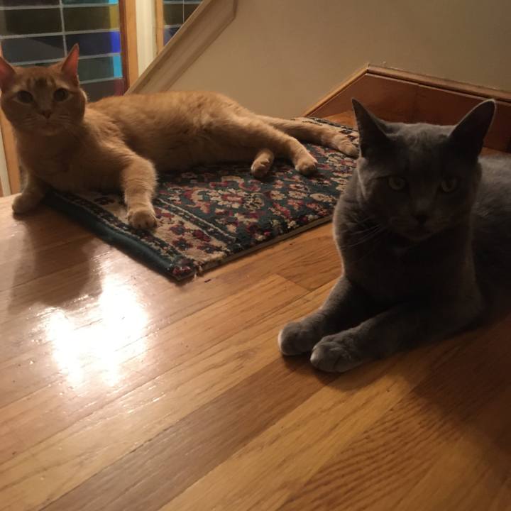 8fb23ca2 dfd9 44fa 9042 c30823ba21bc 1633650736202