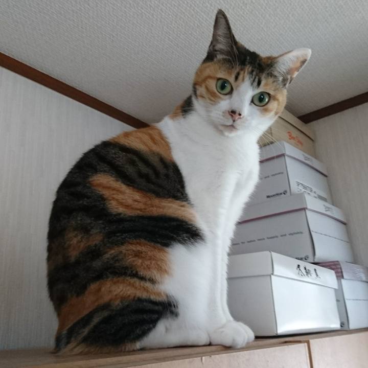 8fb25150 3bad 4f88 91e9 d65f35302480 1525143514769