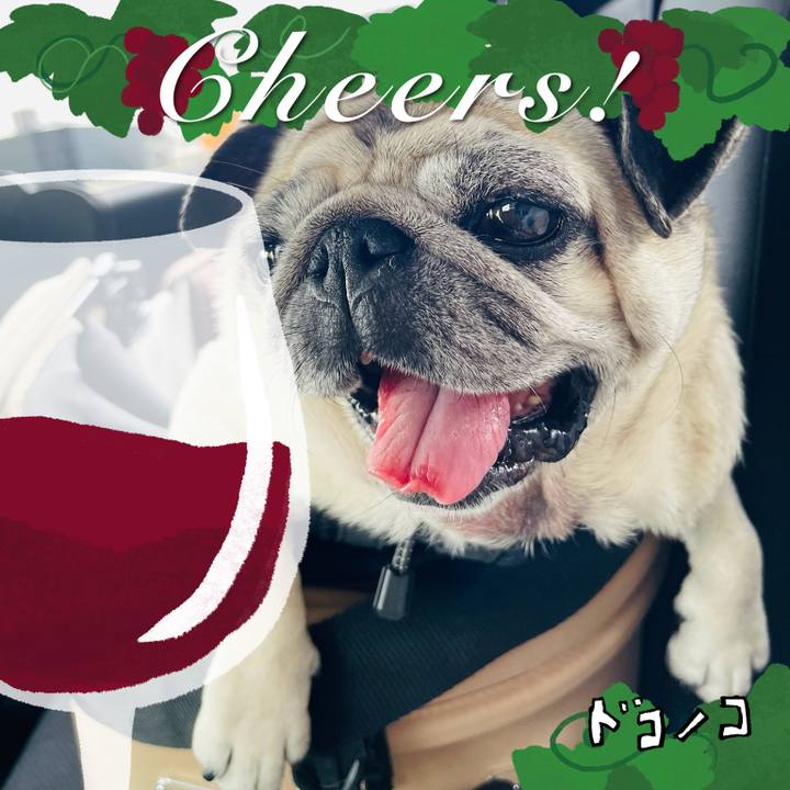 8fb25bdb 0bad 48b4 9c60 ddb6db91eb14 1761386932310