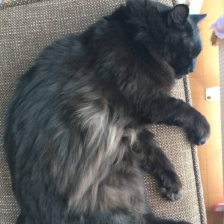 8fb2a487 b455 43e8 9743 2907d92a054f 1517990475590