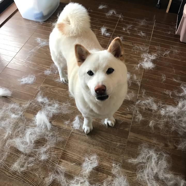 8fb2ba78 66bc 48f5 87a8 4192796c1251 1524382886636