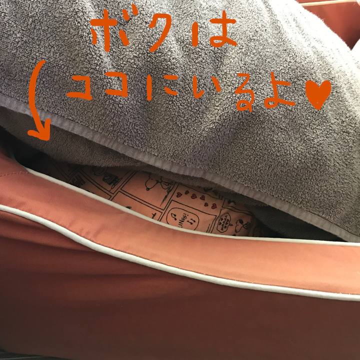 8fb30a28 214e 4ed5 8359 ce0d0980333a 1571115712186