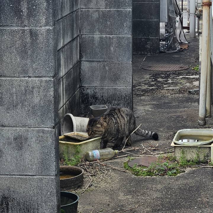 8fb35fea 1695 4c35 9248 a0be830af565 1774185774955