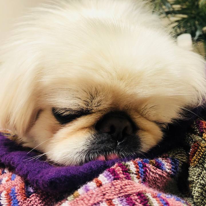 8fb3c2ae cea0 4ed0 91c1 ed9080130c7f 1549294731761