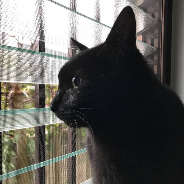 8fb436fd 359d 4a32 9538 c21a64973009 1518226085430