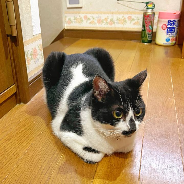 8fb45d57 d530 45a5 b802 3f576fd07367 1760050051079