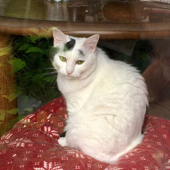 8fb46d9f 7327 4537 a06e 5396379c355f 1593415698394