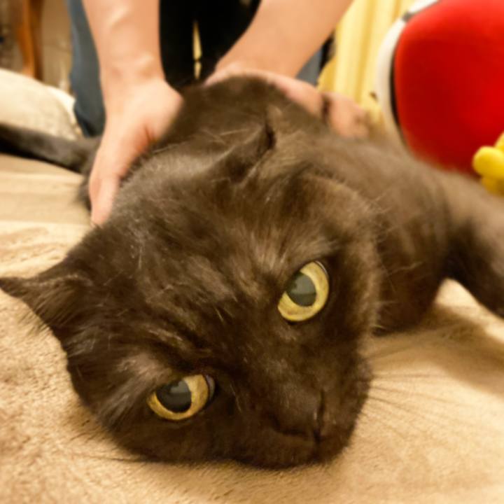 8fb47a38 3fee 4ac9 8ca2 f45464c69d46 1595255288948