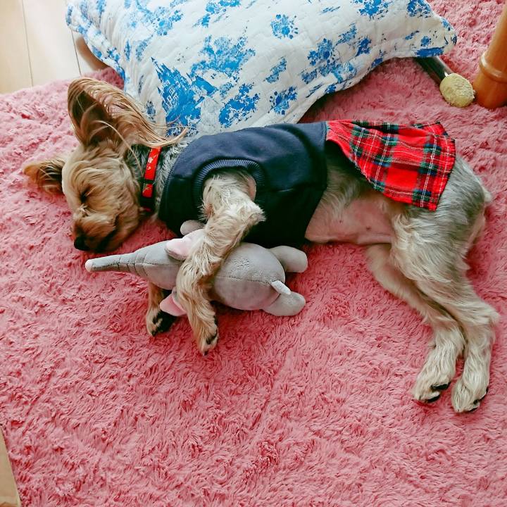 8fb48ea2 f1d1 41b4 be2b ccd485dbad71 1554010511402