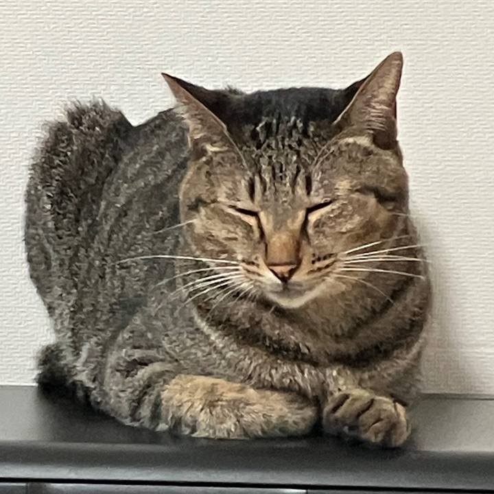 8fb4d6b5 d541 409e b46f 00a7173bfe1f 1760654460111