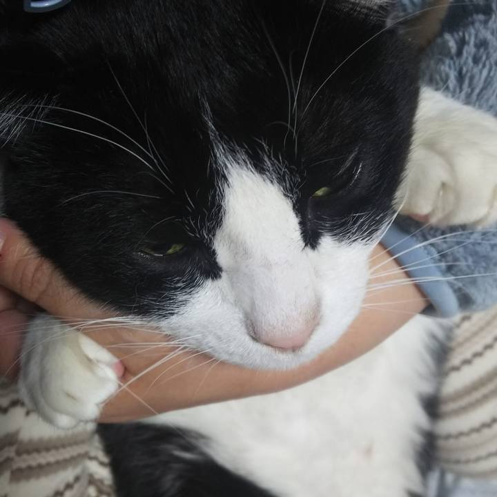 8fb4dc76 77a6 4924 b8e0 55fe88fbe655 1547342692859